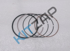 ������ ��������� (�������� �� 1 �������)