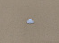 ������_����_1