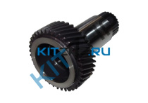 �������� ��������� ����_����_0